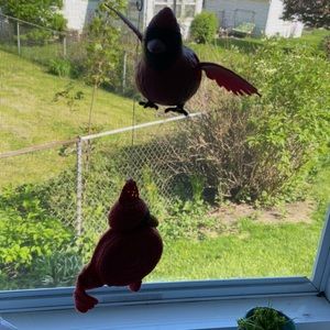 Set of 2 cute cardinals